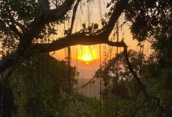Starfish Cottage has Balcony rooms