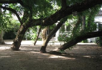 Quinta de S  o Jos   allows 18 year olds to book a room