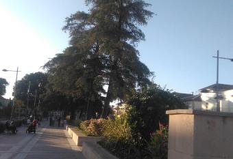 piso de cine allows 18 year olds to book a room