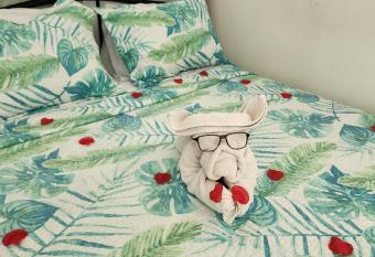 Caribbean Dream CD5 allows 18 year olds to book a room