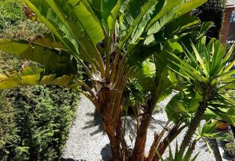 Villa Nemo allows 18 year olds to book a room