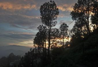 Royal s Home Stay allows 18 year olds to book a room