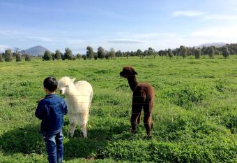 Taras Richmond Farmstay has Balcony rooms