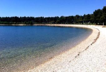 One bedroom appartement at Novigrad 400 m away from the beach with enclosed garden and wifi has Balcony rooms