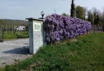 Da Terry Bed & Breakfast has Balcony rooms