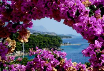 Villa Bose has Balcony rooms