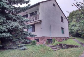 Feny   Windsurf vend  gh  z allows 18 year olds to book a room