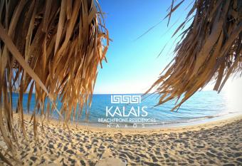 Kalais Beachfront Residences -a 10 minutes drive away from Naxos Town has Balcony rooms