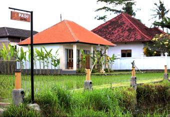 Padi guest house has Balcony rooms