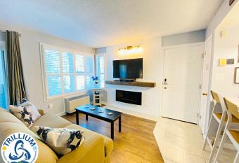 Slopeside Blue Mountain Condo - Wifi, Linens/Towels, Ski In/Out allows 18 year olds to book a room