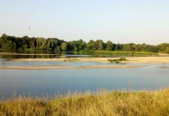 R  sidence InFluence allows 18 year olds to book a room