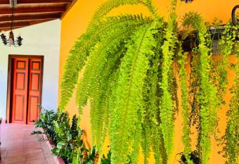 Breeze of Paradise has Balcony rooms