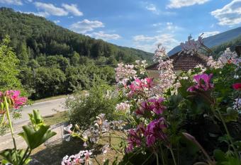 Mokra Gora Central Apartments has Balcony rooms