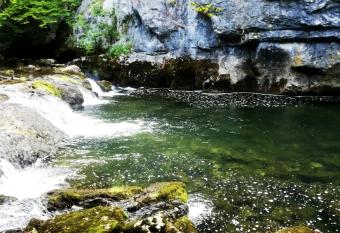 Apartman Nino has Balcony rooms