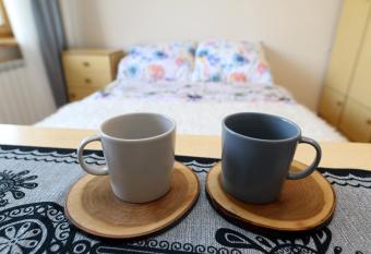 Pokoje u flisaka has Balcony rooms