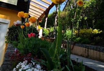 Haus Rebberg has Balcony rooms