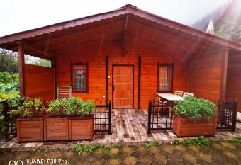 Asproface Boutique Hotel has Balcony rooms