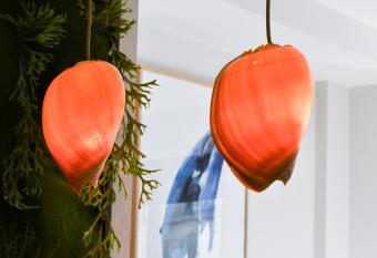 Hotel Celta allows 18 year olds to book a room