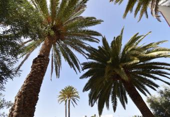 Villa Nestor has Balcony rooms