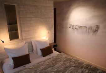 Les Loges Du Parc allows 18 year olds to book a room