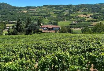 MAMOTA B&B has Balcony rooms