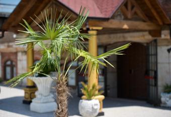 ATTICO 53 camere allows 18 year olds to book a room