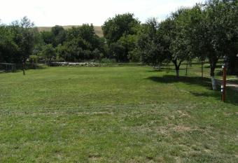 Camping Mira allows 18 year olds to book a room