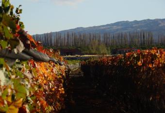 Lodge Atamisque allows 18 year olds to book a room