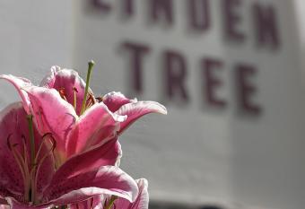 Linden Tree allows 18 year olds to book a room