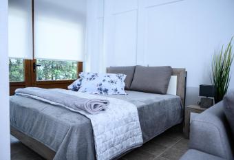 Blue Studio Olympus Mels apartments has Balcony rooms