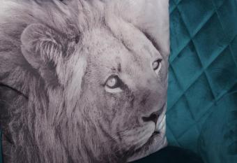 Selemo B&B - Business and leisure - guestroom with private entrance - ensuite bathroom - free parking allows 18 year olds to book a room