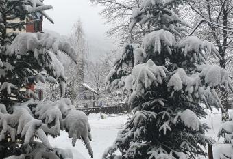 Sinaia Relax Residence has Balcony rooms