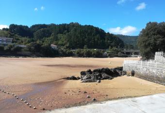 Apartamento tranquilo y luminoso allows 18 year olds to book a room