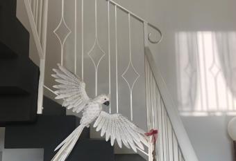 I MERISI allows 18 year olds to book a room