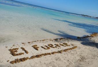 El Fuerte Beach Resort allows 18 year olds to book a room