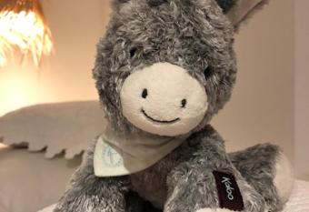 Le Refuge de l   ne Carotte Aubagne-Cassis-Aix en Provence allows 18 year olds to book a room