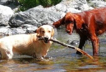 CHEZ CHRISTINE allows 18 year olds to book a room