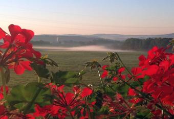 WALDHOTEL has Balcony rooms