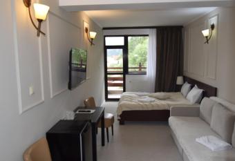 Pensiunea Clasic has Balcony rooms