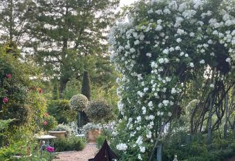 Les Jardins Haute Couture allows 18 year olds to book a room