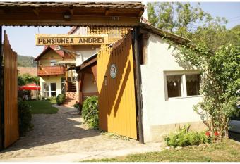 Pensiunea Andrei Sibiel has Balcony rooms