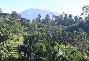 Surya Shanti Villa Sidemen has Balcony rooms
