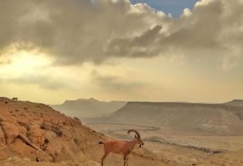 Zin Guest Rooms allows 18 year olds to book a room