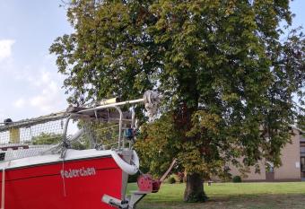 Domizil & D  mmer has Balcony rooms