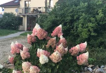 Apartman Harmonia Pod  brady has Balcony rooms