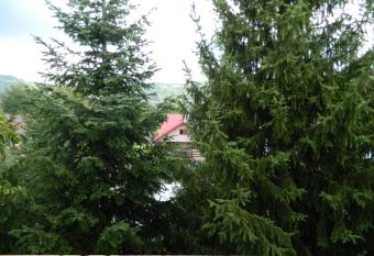 Hotel Breaza has Balcony rooms