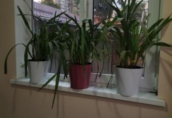 Dreamtime studio allows 18 year olds to book a room