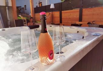 Grand Chalet Hochfilzen has Balcony rooms