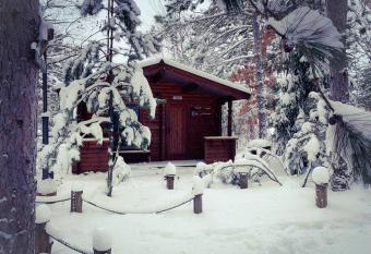 Honeybear Hideaway Cabin allows 18 year olds to book a room