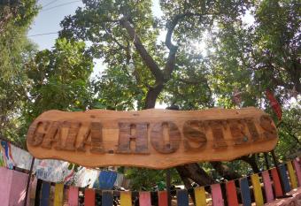 Gaia Hostels allows 18 year olds to book a room